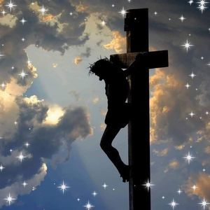 Meet your Posher, Georgia